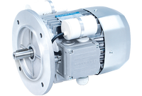 Động cơ điện bonfiglioli bs